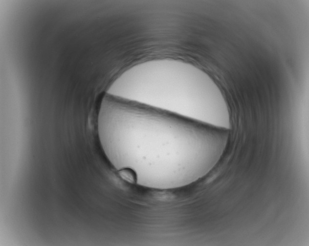 X0000115710424200911121007