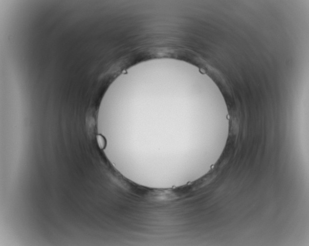 X0000115710427200911121007