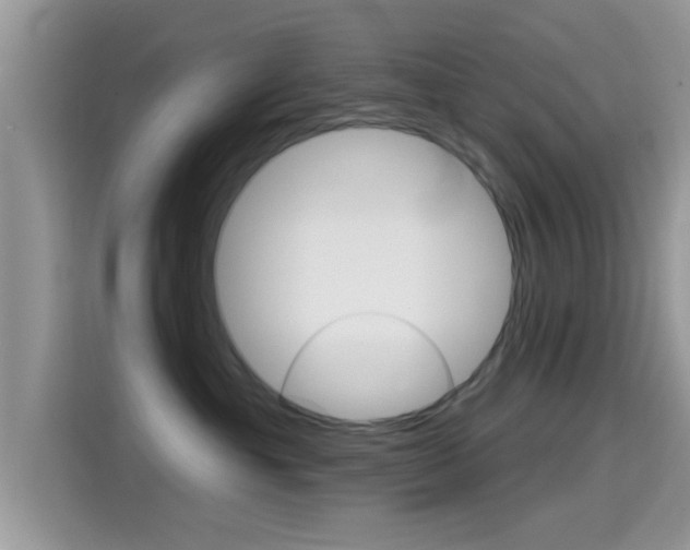 X0000115710429200911121007