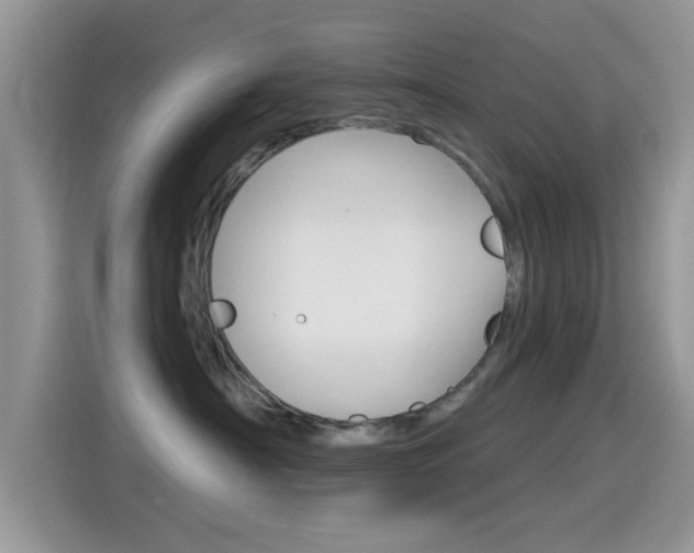 X0000115710430200911121007