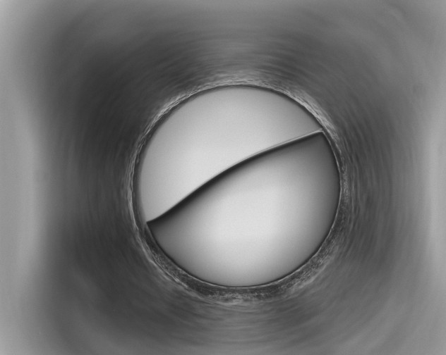 X0000115710434200911121006