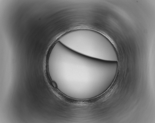 X0000115710437200911121006