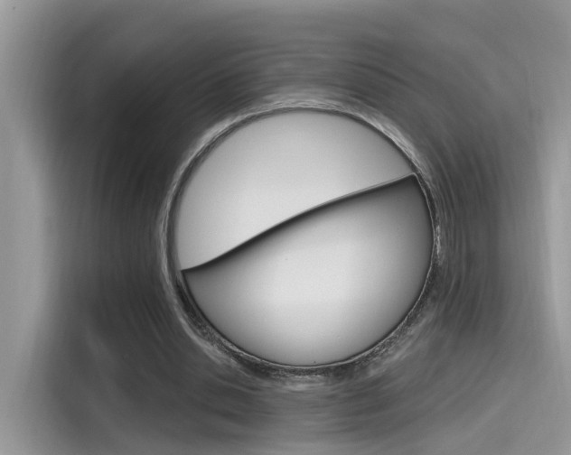 X0000115710438200911121006