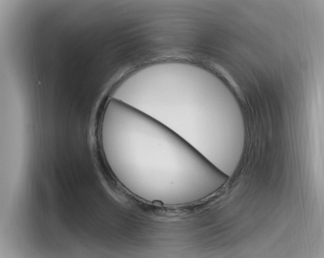 X0000115710443200911121006