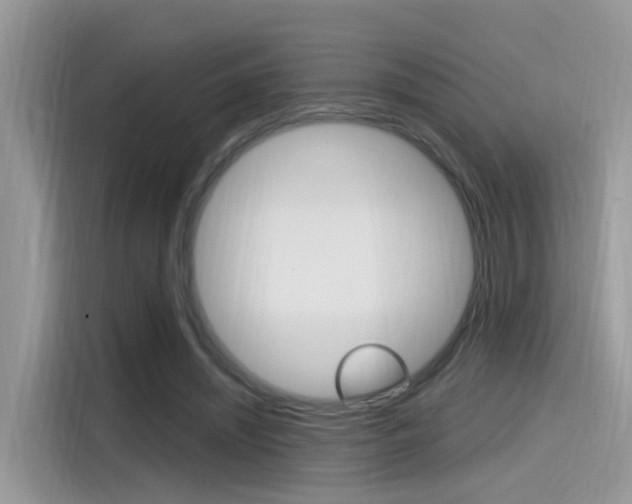 X0000115710444200911121006