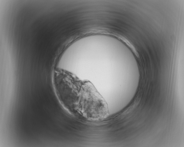 X0000115710445200911121006