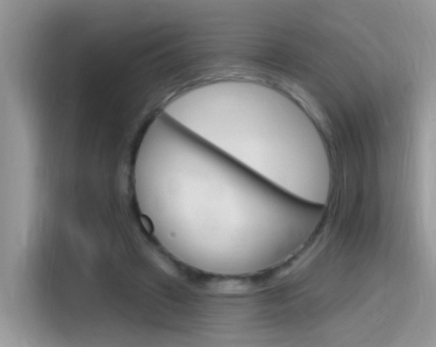 X0000115710449200911121006