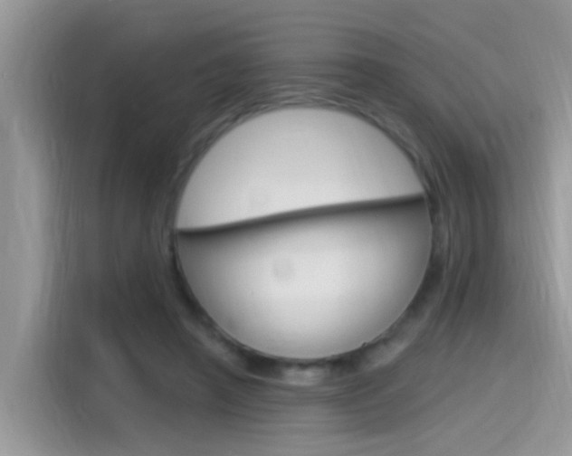 X0000115710450200911121006