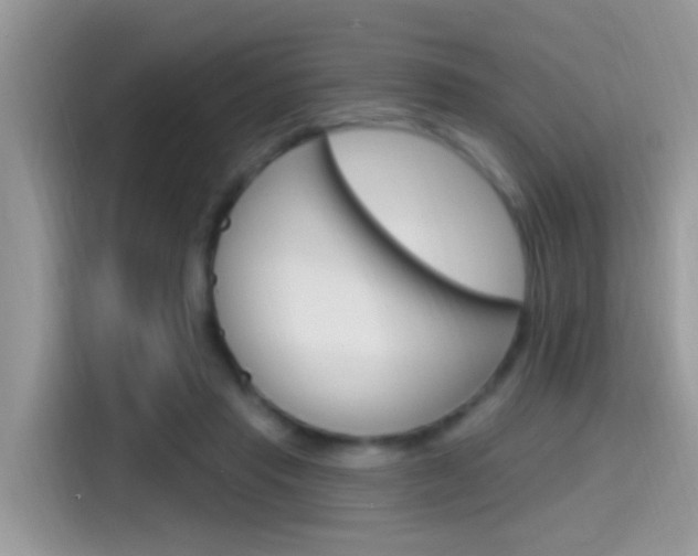 X0000115710453200911121006