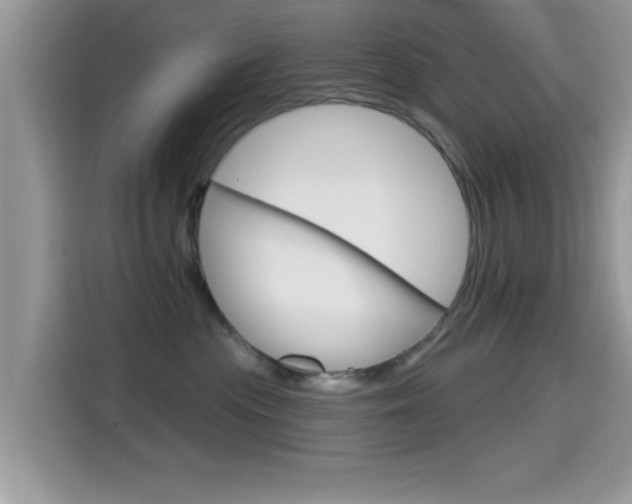 X0000115710477200911121007