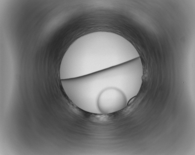 X0000115710478200911121007