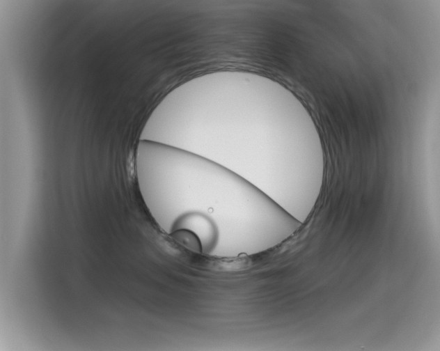 X0000115710479200911121007