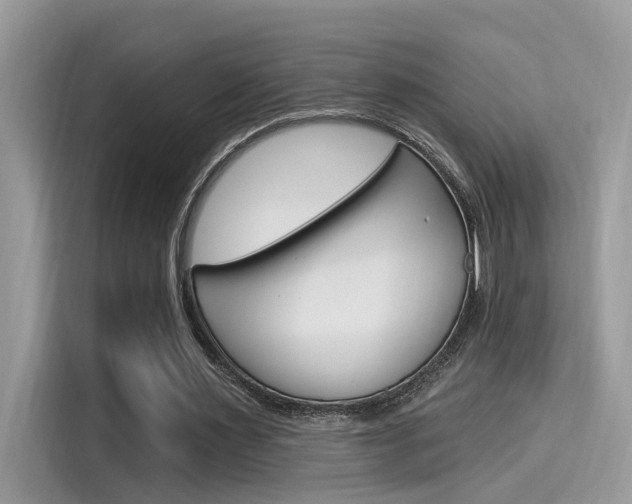 X0000115710483200911121006