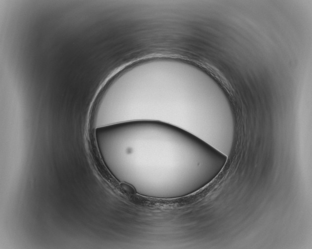 X0000115710484200911121006