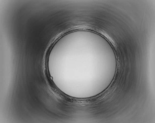 X0000115710486200911121006