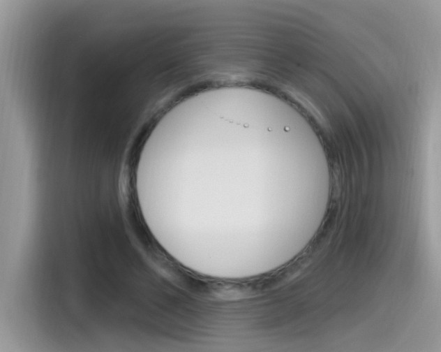 X0000115710494200911121006