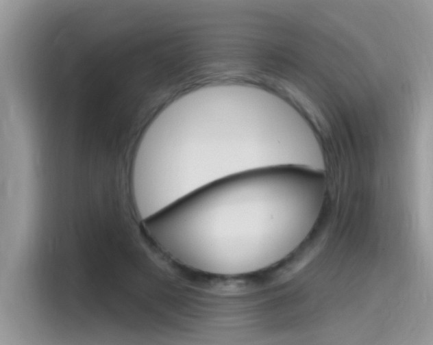 X0000115710497200911121006