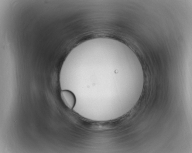 X0000115710498200911121006