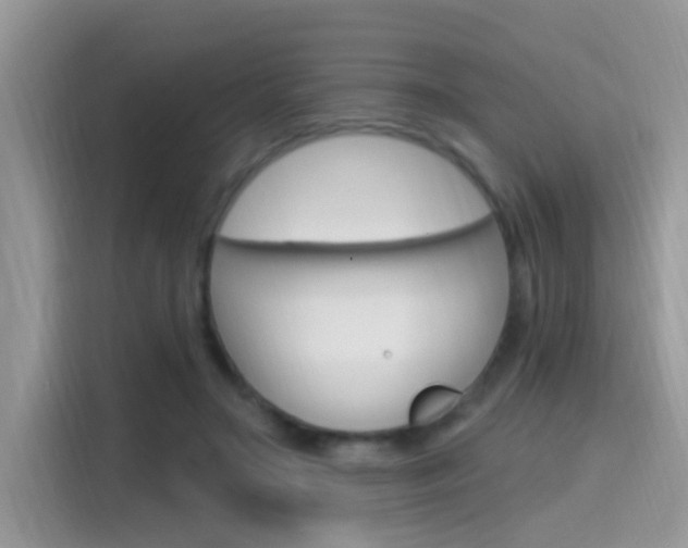 X0000115710499200911121006