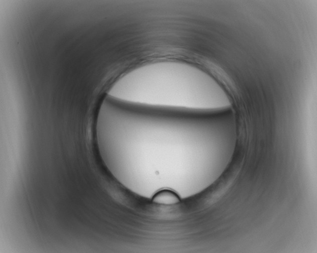 X0000115710501200911121006