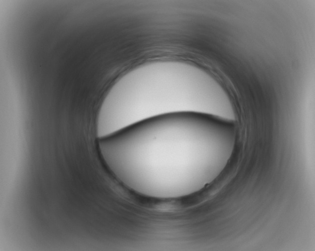 X0000115710505200911121006