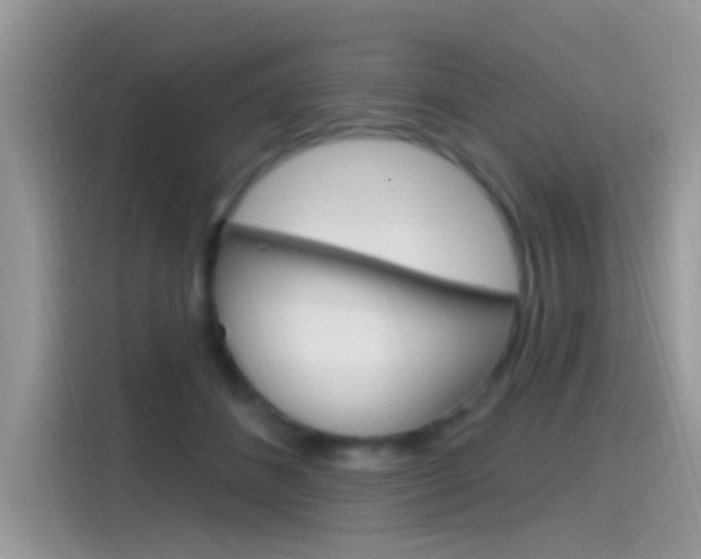 X0000115710508200911121006