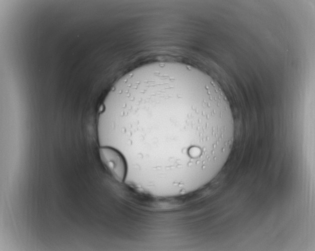 X0000115710510200911121006