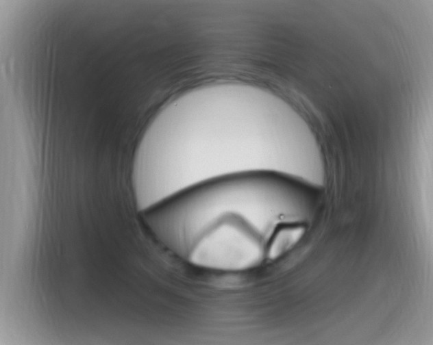 X0000115710513200911121006