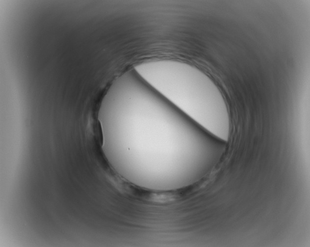 X0000115710520200911121006