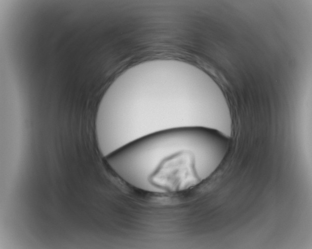 X0000115710521200911121006