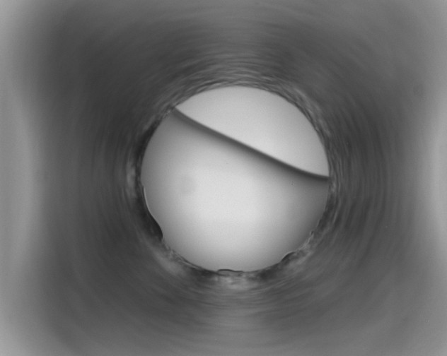 X0000115710524200911121006