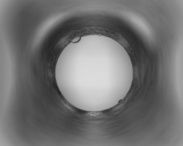 X0000115710526200911121005