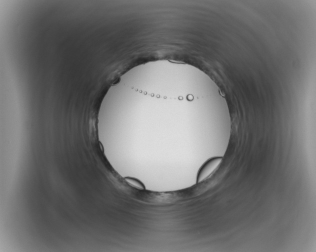 X0000115710527200911121005