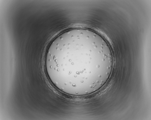 X0000115710529200911121005