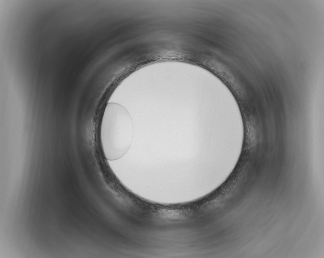 X0000115710534200911121005