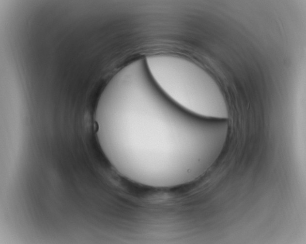 X0000115710551200911121005