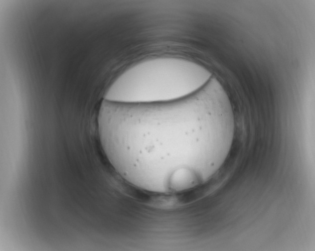 X0000115710554200911121005