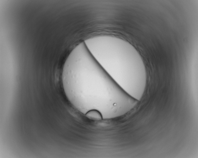 X0000115710567200911121005