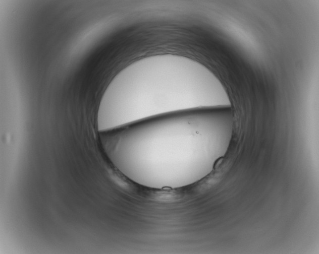 X0000115710574200911121005