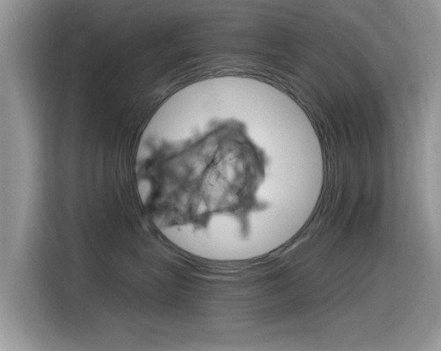 X0000115710575200911121005