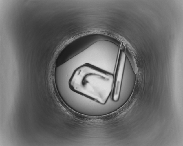 X0000115710577200911121005