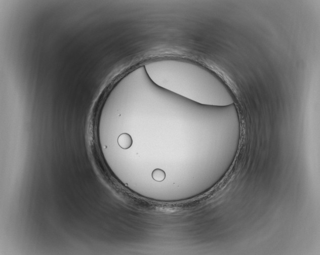 X0000115710582200911121005