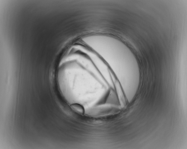 X0000115710592200911121005