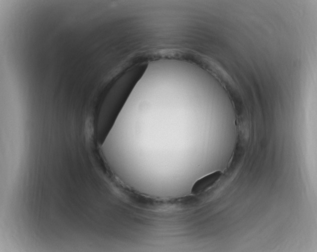 X0000115710593200911121005