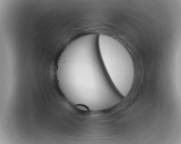 X0000115710612200911121004