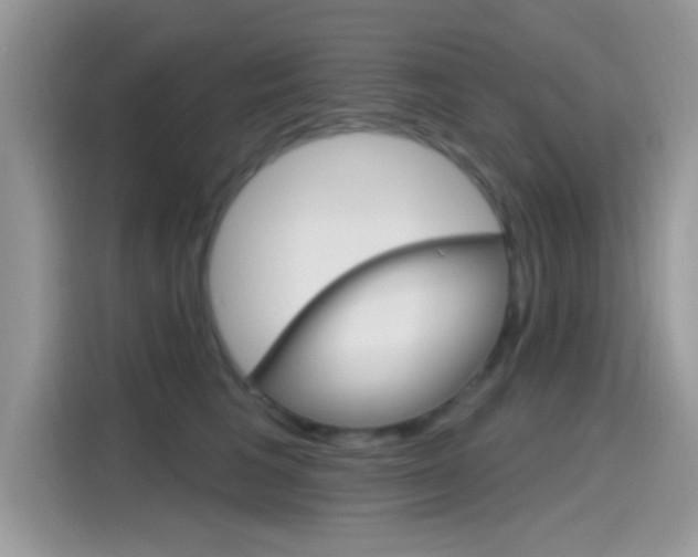 X0000115710613200911121004