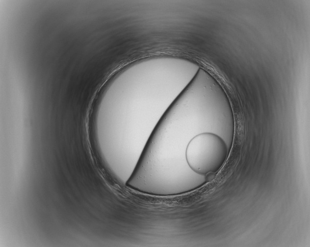 X0000115710626200911121004