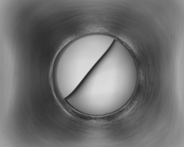 X0000115710630200911121004