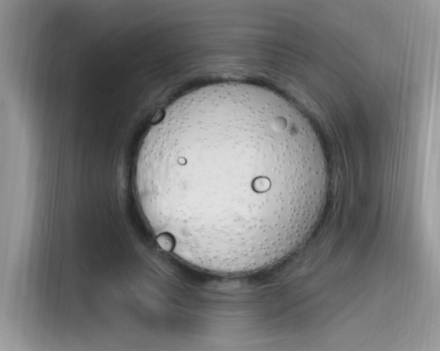 X0000115710639200911121004