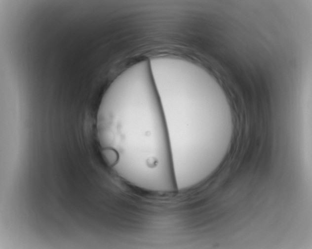 X0000115710653200911121004